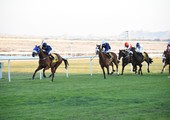 بالصور.. أقوى الجياد تتنافس على كؤوس ولي العهد... ومهرجان ترفيهي للجماهير