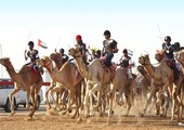 مهرجان في صحراء الامارات يحتفي بموروثها الثقافي