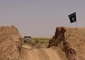    تنظيم 