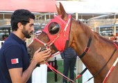 ناصر بن حمد: التنافس الحقيقي بين فرسان البحرين والامارات لتطوير القدرة الخليجية في كأس عاهل البلاد