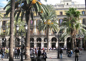 جدل في ايطاليا بشأن شجر النخل في ساحة كاتدرائية ميلانو