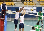 بالصور... 