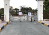 بالصور... 