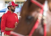 بالصور... ناصر بن حمد: الاسطبلات تعيد ترتيب أوراقها الفنية للتنافس على كأس الملك للقدرة