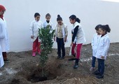 البنك الدولي يعزز تمويله للأنشطة المناخية في العالم العربي