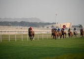 مشاركة 69 جواداً ومنافسات منتظرة على كؤوس الجسمي والراشدية