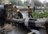 38  قتيلا و53 الف مهجر في مدغشقر حصيلة الاعصار ايناو