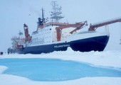عودة 8 سفن صيد يابانية إلى مينائها سالمة بعدما علقت بين الجليد