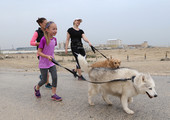 بالصور... البحرين : «الرفق بالحيوان» تنظم فعاليتها السنوية «المشي مع الكلاب» بعسكر