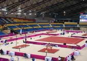 بطل أولمبياد لندن يحصد ذهبية حصان الحلق في بطولة العالم للجمباز