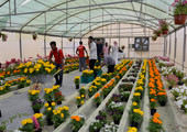 البحرين : معرض الزهور يختتم فعاليات موسمه الأول بنجاح وإقبال كبير   
