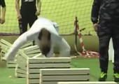 بالفيديو... مراهق يحطم الأحجار والأرقام