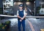 سرقة لوحتين فنيتين من القرن التاسع عشر في نيوزيلندا 