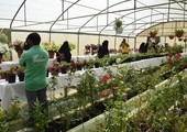 البحرين : بالصور... معرض الزهور يختتم موسمه الأول بنجاح وحضور جماهيري ملفت      