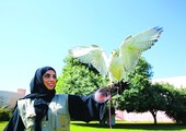 جواهر الشامسي أول مدربة للطيور في الإمارات