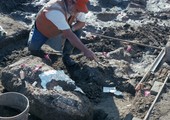 حفريات وأدوات حجرية قد تعيد كتابة تاريخ وجود الإنسان في الأميركتين 