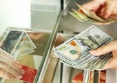 المركزي: ارتفاع تحويلات المصريين بالخارج 13.8% في 5 أشهر