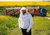 بالصور... شاحنة العسل الجوّالة .. ابتكار تركي لجني العسل