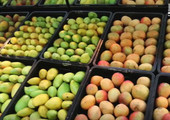  بالصور... أنواع فاكهة المانجو المنتشرة في فصل الصيف 