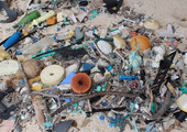 جزيرة نائية في المحيط الهادئ تضم أكبر كمية من النفايات البلاستيكية