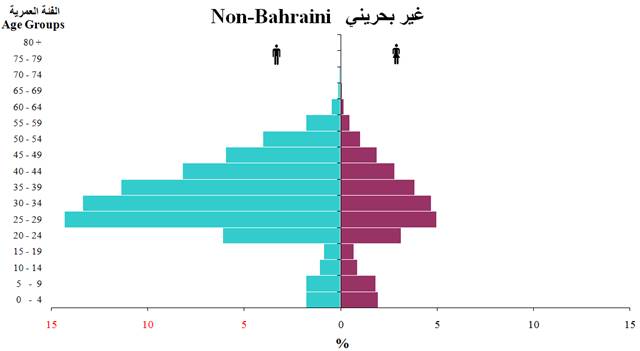 السكاني الهرم تعريف الهرم