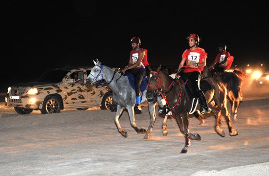 خالد بن حمد: إسطبلات الخالدية جاهزة للمنافسة على لقب سباق ولي العهد لمسافة 120 كيلومتر | رياضة - صحيفة الوسط البحرينية - مملكة البحرين